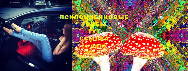 прущая мука Волоколамск