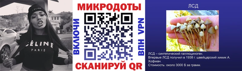 Галлюциногенные грибы Psilocybe  Купить где  Борисоглебск 